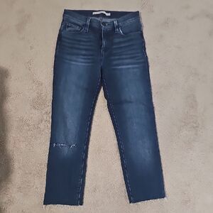 Hudson Jeans Dark Blue Ankle Cropped Denim Size 25